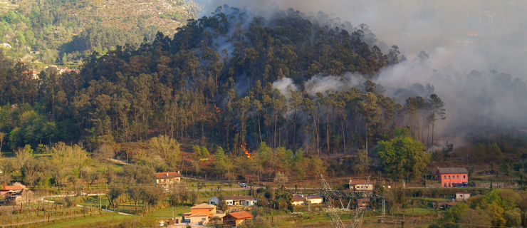 incêndios rurais em Portugal